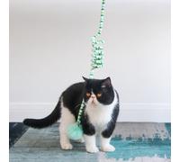 Acouto Hanging Door Cat Ball Toys Fun Relieve Boredom Soft Plush Suction Cup Fixation Interactive Cat Ball Toys with Bell for Indoor Purple Anywhere the Between Pet Interact (Green)