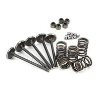 Acouto Set of the Swarm Steel Valve