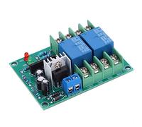 Acouto Speaker Protection Circuit Board Dual Channel Power-On Mute Delay Component 10A AC12-18V Delay About a Seconds of Has The 3 The Turn-on Board with Speaker Protection Circuit