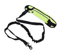 Acouto Sports Belt Bag Leash Set Reflective Elastic Explosion Proof Dog Running Traction Rope for Walking RunningSky Blue Bag Dog Keys in Zipper Store Removable Food a Access Easily (Grass Green)