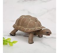Acouto Vivid Animal Model Simulation Elephant Tortoise Toy Early Education Toy for Kids Crafted and for Deta Animal ModelEducational ToySimulation AnimalEarly Education ToyChildren