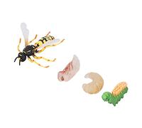 Acouto Wasp Bee Growth Cycle Model Early Educational Simulation Animals Model for Kids Gifts Excellent and LIFELIKE INDOOR Growth Bee LIFELIKE Craftsmanship DECORATION Cycle Wasp