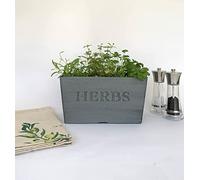 Acqua Tower Growing Systems Mixed Herb Plants in Herb Planter, 18 x Mixed Herbs Plug Plants, 4 Litre Compost, Complete Package