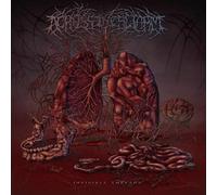 Across the Swarm - Invisible Threads [CASSETTE]