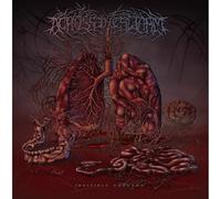 Across The Swarm - Invisible Threads [VINYL]
