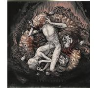 Across The Swarm - Projections [VINYL]