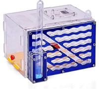 Acrylic 5 Tier Ant Nest Farm With Moisturising Water TowerAnt Farm HouseStudio Ant ZooAnt Habitat