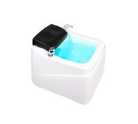 Acrylic Age Footbath, Foot AGER, with Heat and Colorful Lamp, Pedicure Rest, Feet Soaking Tub, Bowl Nail Salon Bathtub