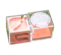 Acrylic and Plaster Ant Farm Castle