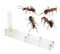 Acrylic Ant Breeding House Nest Formicarium Display Box with Water Tower Moisturizing Blue, Lightweight Compact Size with Easy Assembly for Ant Lovers (transparent nest)
