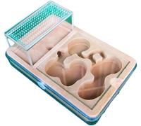 Acrylic Ant Colony Castle 3D PP Plastic Flat-bottomed Ant Farm Gypsum Ecological Ant Nest With Feeding Area Ant House Ant Nest Pet Ant Hill Workshop Moisture Retention Pool