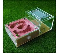 Acrylic Ant Colony Castle Acrylic Flat Glass Plaster Ant Farm Workshop Ant House Box Ecological Pet Ant Hill Ant Nest Birthday Gift(Red-2)