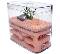 Acrylic Ant Colony Castle Ant Farm Pet Ant Hill Castle Natural Ecology House Ant Feeding Box Acrylic Workshop