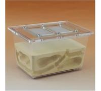 Acrylic Ant Colony Castle Ant Nest Farm Ecological Pet Ant Nest Three-dimensional Ant Villa Small Tetrahedral Ant Farm Breeding Nest Ant Nest