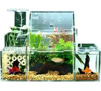 Acrylic Ant Colony Castle Desktop Aquaculture Incubation Special Fish Tank Isolation Box Circulating Water Filter Pump Home Office Fish Tank Decoration Goldfish Tank