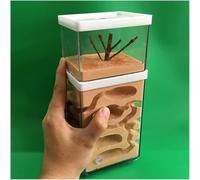 Acrylic Ant Colony Castle Eco Ant Nest Farm Gypsum Ant Castle Ant Breeding Box Transparent Habitat Ant House Box Ant Workshop Kit Ant Feeding Villa