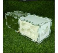 Acrylic Ant Colony Castle Eco-friendly Ant Nest Farm Gypsum Ant Castle Acrylic Habitat Ant House Box Ant Workshop Kit Suitable For Children And Adults Science Experiment(A)