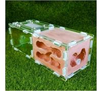 Acrylic Ant Colony Castle Eco-friendly Ant Nest Farm Gypsum Ant Castle Acrylic Habitat Ant House Box Ant Workshop Kit Suitable For Children And Adults Science Experiment(C)