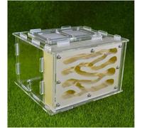 Acrylic Ant Colony Castle Gypsum Ant Castle Ant Rearing Box Acrylic Habitat Ant House Box Ant Workshop Kit Ant Feeding Villa Suitable For Children And Adults Science Experiment(B)