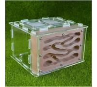 Acrylic Ant Colony Castle Gypsum Ant Castle Ant Rearing Box Acrylic Habitat Ant House Box Ant Workshop Kit Ant Feeding Villa Suitable For Children And Adults Science Experiment(C)