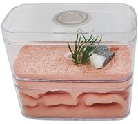 Acrylic Ant Colony Castle Gypsum Ant Farm With Feeding Area Feeding Box Ecological Ant Nest Pet Ant Hill Studio Castle Ant House