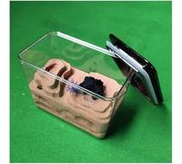 Acrylic Ant Colony Castle Gypsum DIY Acrylic Ant Nest Ant Farm Observation Of Live Ant Habitat Educational Ant Breeding Box