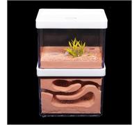 Acrylic Ant Colony Castle Gypsum Ecological Ant Farm Gypsum Ant Nest Ant House Display Box Ant Breeding Villa(A)