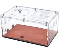 Acrylic Ant Colony Castle Infinitely Expandable Ant Farm Concrete Ant Nest Acrylic Insect House Water Dispenser Ant Hill Kit Ant Ecology Workshop Display Box Accessories