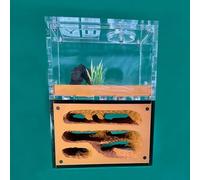 Acrylic Ant Colony Castle Infinitely Expandable Ant Nest Ecosystem Acrylic Ant Farm Ant Castle Villa Ant House Display Box Pet Ant Mound Workshop Yellow Soil Moisture-retaining Ant Feed(C)