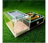 Acrylic Ant Colony Castle Magnetic Model, Biomimetic Acrylic, Flat Glass, Plaster, Ant Farm Workshop, Ant House Box, Ecological Pet Ant Mound, Ant Nest, Birthday Gift