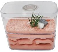 Acrylic Ant Colony Castle Plaster Pet Nest Ant Farm Castle Box Ant House Highly Moisturising Insect Villa Natural Ecological Workshop Gift