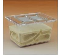Acrylic Ant Colony Castle Study Ecosystem Ant Farm Small Tetrahedron Ant Farm 5.1 X 3.5 X 3.1 Inches Ant Nest Farm Ant Nest