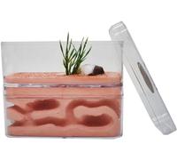 Acrylic Ant Colony Castle Transparent Ant Nest Farm Ant Home Gypsum Habitat Ecological Ant Castle Ant Breeding Box Ant Workshop Villa Ant Feeding Box