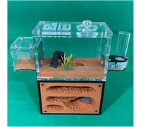 Acrylic Ant Colony Castle Yellow Soil Moisture Retention Ant Nest Box Large Double-Layer Ant Nest House Ant Home Acrylic Insect Villa(D)