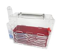Acrylic Ant Farm Castle - DIY Science Observation Nest, Workshop Habitat for Live Ants, Educational STEM Toy Pet house(Rot)