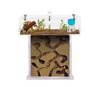 Acrylic Ant Farm Kit Foam in T Mini Shape - Sandwich 14x5x14 cm and Foraging Box - Transparent