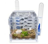 Acrylic Ant Farm Starter Kit - Modern ant nest with Automatic Watering, Easy to Assemble, Low Maintenance Cost, Perfect for Beginners - White