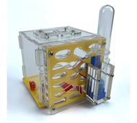 Acrylic Ant Farm Starter Kit - Modern Ant Nest with Automatic Watering, Easy to Assemble, Low Maintenance, Ideal for Beginners - Yellow