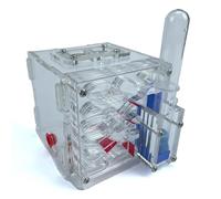 Acrylic Ant Farm Starter Kit - Modern Ant Nest with Automatic Watering Function, Easy to Assemble, Low Maintenance, Ideal for Beginners - Transparent