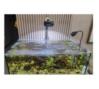 Acrylic Aquarium Lid - Jump Prevent Lid with Opening for Reptiles, Turtles, Habitat, Escape Prevention, Easy Feeding(LxW30x20cm)