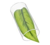 Acrylic Betta Fish Tunnel Hideout for Aquarium Glass Spawning Bed | Leaf Design, Suction-cup Mounting, Natural Look, for Breeding Setup and Shrimp Keepers