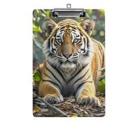 Acrylic Big Tiger Clipboard Fashion Clip Board with Low Profile Clip A4 Letter Size Clipboards Smooth Holds 100 Sheets for Event and Office Use 8.5x12.5
