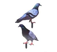 Acrylic Bird Figurine 2D Ornament for Garden Lawn Art