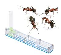 Acrylic Breeding Box, Transparent Farm Formicarium with Water Tower for Live Observation and Science Education, Blue 14x2.2x7.5cm
