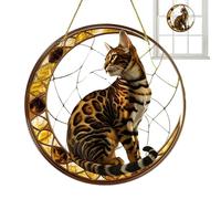 Acrylic Cat End, Elegant Acrylic , Hanging Kitten Decoration, Unique Pet Loss Thanks, Spiritual Charm, Rainbow Reflection Memorial Art, Thoughtful Indoor -O