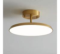 Acrylic Ceiling Light Modern Lighting Fixtures, Adjustable Angle Aisle Ceiling Lamp, Surface Mount Balcony Lamp, for Bedroom Kitchen Loft Aisle Hall Stair Lighting Fixture