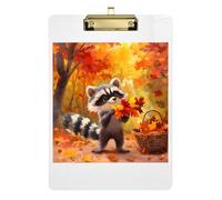 Acrylic Clipboard Cute Raccoon Autumn Forest Cute Clipboards Standard A4 Letter Size Clipboard for Women Men Teachers Nurses, Low Profile Gold Clip Retractable Hanging Tab 12.5 x 9 Inches