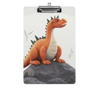 Acrylic Clipboards for Outdoor Office, 8.5x12.5 Stardard Letter A4 Size Clipboard for Social Worker, Nurse, Office Supplies, Funny Dragon Clip Boards with Low Profile Clip