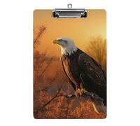 Acrylic Clipboards for Outdoor Office, 8.5x12.5 Stardard Letter A4 Size Clipboard for Social Worker, Nurse, Office Supplies, Golden Sunset Bald Eagle Clip Boards with Low Profile Clip