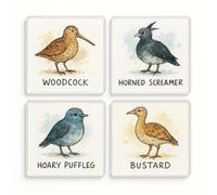 Acrylic Coaster Gift Set of 4 with Humorous Bird Doodles Funny Pun Coaster - Quirky Home Decor for Birdwatcher Birthday Gift